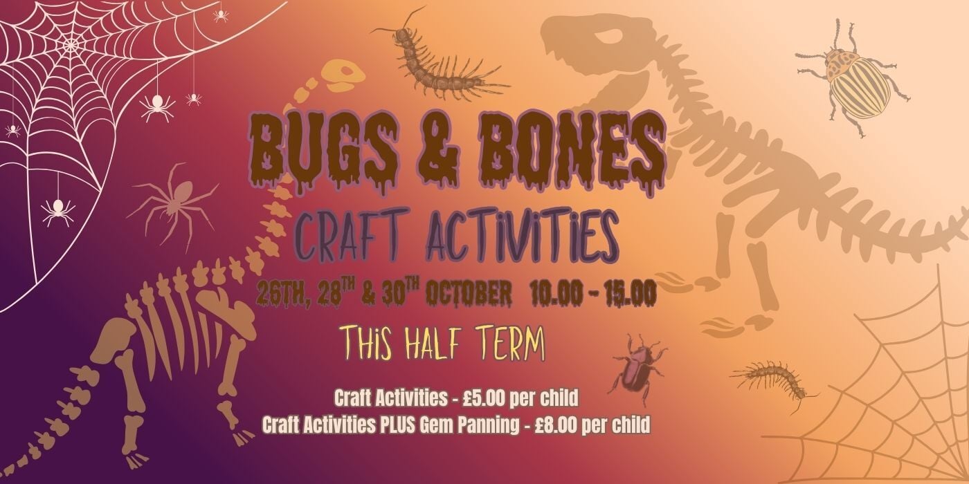 Bugs n Bones Website Banner