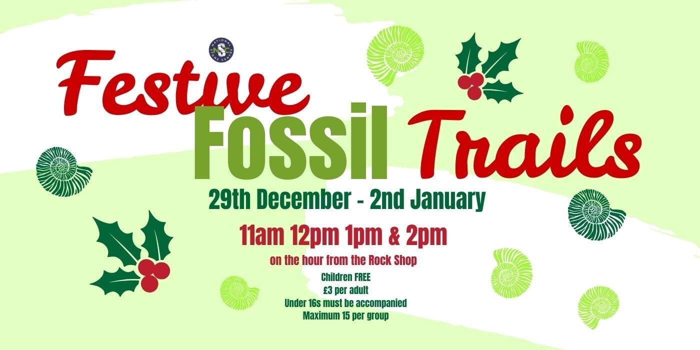 Festive Fossil Tours Web Banner